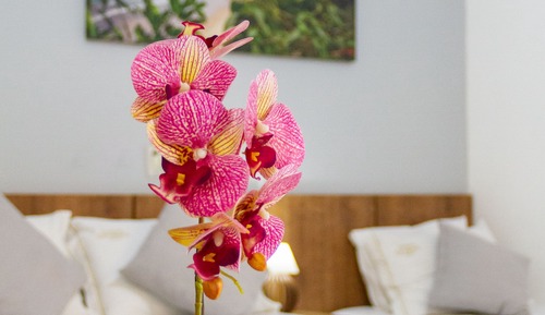 Standard-Vierbettzimmer