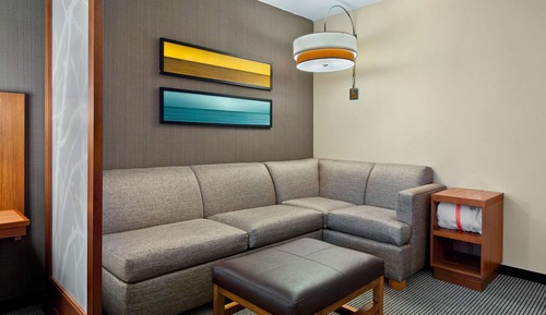 Suite, 1 King-Bett und Schlafsofa, barrierefrei (One Bedroom, Roll-in Shower)