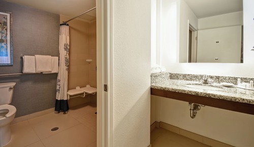 Studio, 1 King-Bett und Schlafsofa, Nichtraucher (Mobility Accessible, Roll-in Shower)