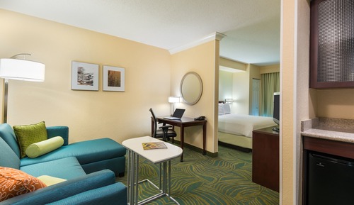 Studio, 1 King-Bett und Schlafsofa, Nichtraucher (Mobility Accessible, Tub)