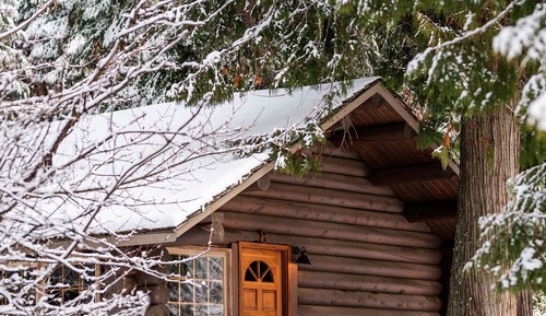 Premium-Ferienhütte, 2 Queen-Betten, barrierefrei, Kamin