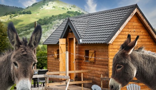 Ferienhütte, mit Bad, Bergblick