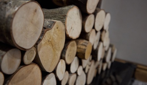 Studio, mit Bad (Secretariat)