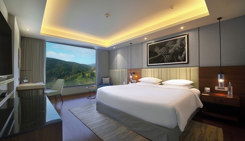 Deluxe-Suite, 1 King-Bett