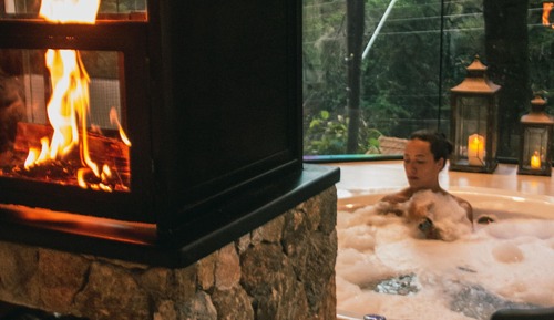 Premium-Ferienhütte, 1 King-Bett, Gartenblick, zum Garten hin