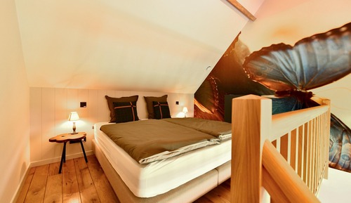 Deluxe-Doppel- oder -Zweibettzimmer, 1 Schlafzimmer, Gartenblick
