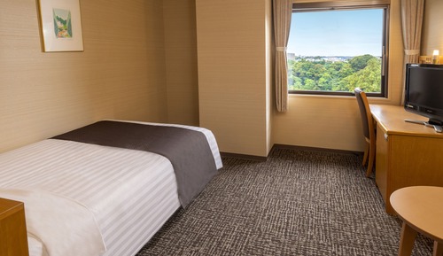 Einzelzimmer, Nichtraucher (With bath)