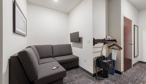 Studio, 1 King Bed with Sofa bed, Accessible, Non Smoking (with Audible/Visual Assistance)