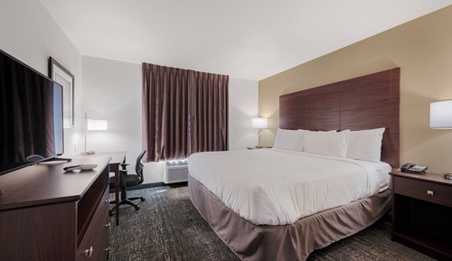 Studio, 1 King Bed with Sofa Bed, Non Smoking