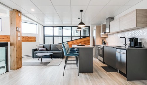 Design-Apartment, 1 Queen-Bett und Schlafsofa, Küche