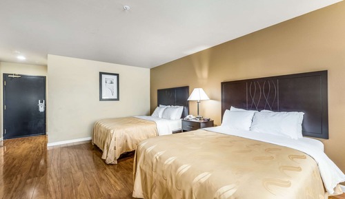 Zimmer, Mehrere Betten, Nichtraucher (Pet Friendly)