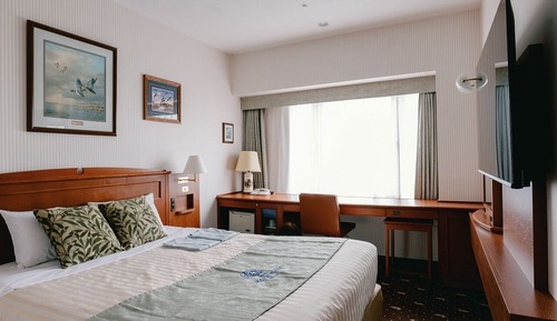 Deluxe-Einzelzimmer, Nichtraucher