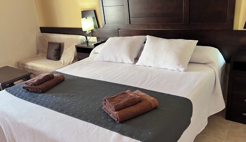 Junior-Suite, Kühlschrank und Mikrowelle, Bergblick