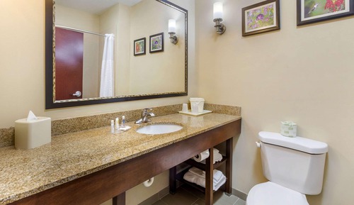 Suite, 1 King-Bett und Schlafsofa, Nichtraucher