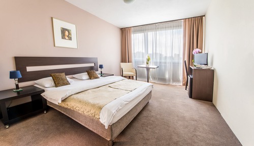 Superior-Doppelzimmer zur Einzelnutzung, 1 Queen-Bett