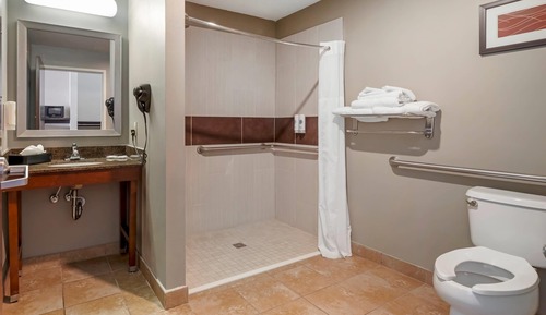 Suite, 1 King-Bett, barrierefrei, Nichtraucher (Roll-In Shower)