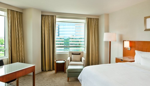 Suite, 1 King-Bett, Seeblick