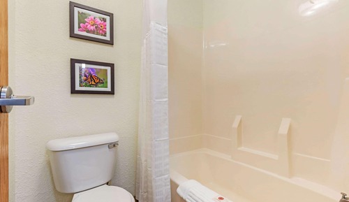 Suite, 1 King-Bett und Schlafsofa, Nichtraucher