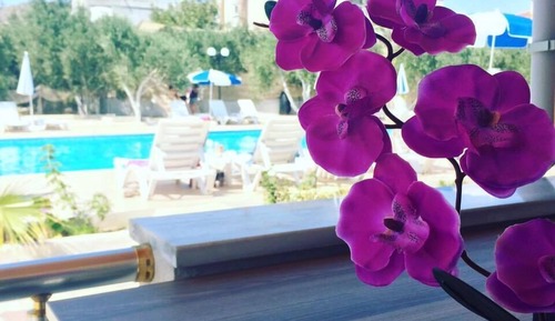 Standard Room, Pool View