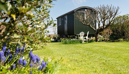 Luxury-Zimmer, mit Bad (Cottage Shepherds Hut)