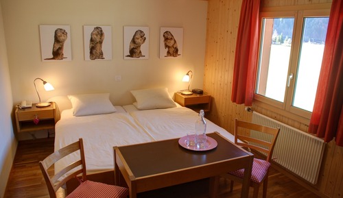 Basic-Zimmer