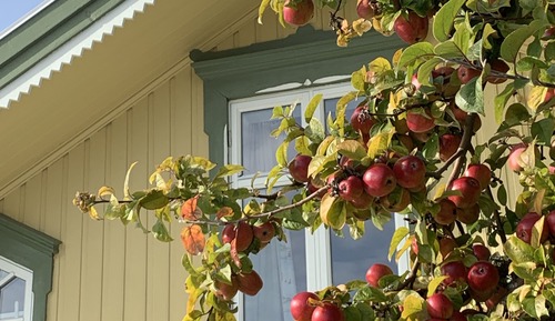 Romantisches Doppelzimmer, Talblick
