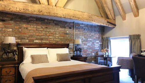 Standardzimmer, 1 King-Bett, Nichtraucher (Theme Room)