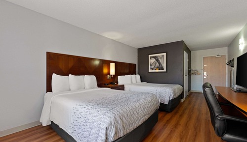 Zimmer, 2 Doppelbetten, barrierefrei, Nichtraucher