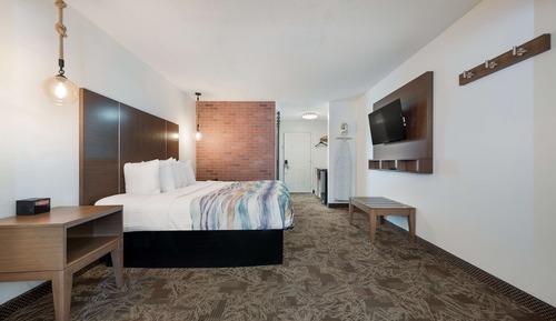 Standardzimmer, 1 King-Bett, Nichtraucher, Kühlschrank und Mikrowelle (with Sofabed)