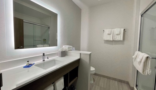 Standardzimmer, 1 King-Bett (Walk-In Shower)