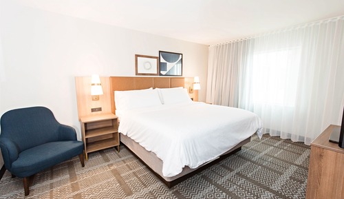 Studiosuite, 1 King-Bett, barrierefrei, Küche (Hearing, Roll-In Shower)