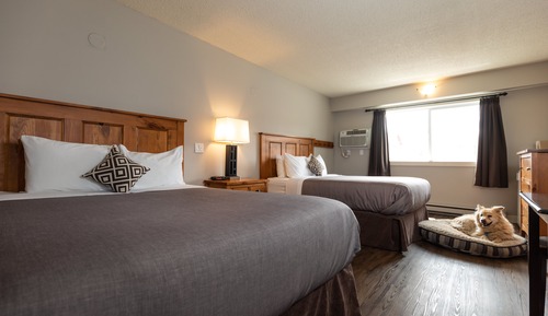 Standardzimmer, 2 Queen-Betten (Pet Friendly)