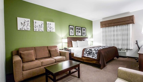 Standardzimmer, 1 King-Bett und Schlafsofa