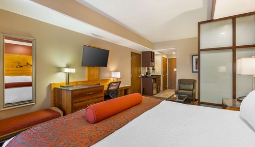 Standardzimmer, 1 King-Bett, Nichtraucher (with Sofabed)