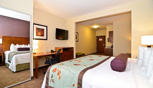 Suite, 1 King-Bett, Nichtraucher, Kühlschrank und Mikrowelle (with Sofabed)