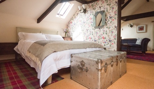 Superior-Suite, mit Bad (Jasmine - King )