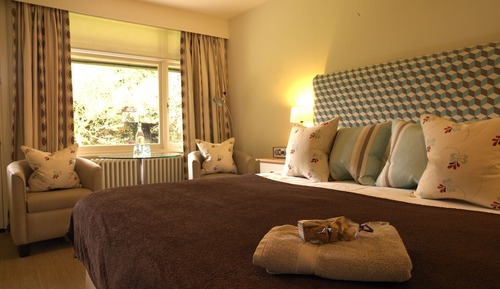 Classic-Doppelzimmer, 1 Doppelbett (Garden Double Room)