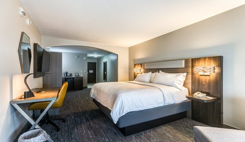 Suite, 1 King-Bett, barrierefrei (Comm, Transfer Shower)