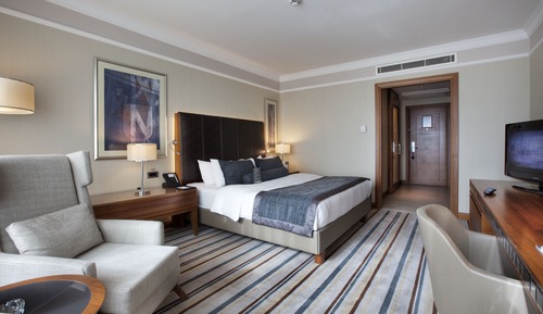 Superior King Room  Land View