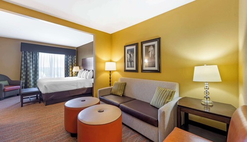 Suite, 1 King-Bett und Schlafsofa, Nichtraucher, Kühlschrank und Mikrowelle (with Sofabed)