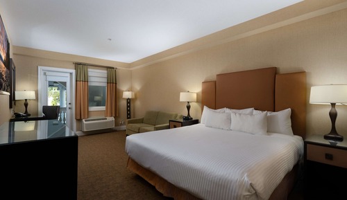 Standardzimmer, 1 King-Bett, Nichtraucher, Kühlschrank (with Sofabed)