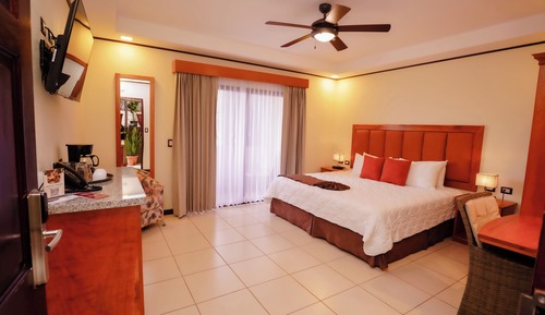 Bromelia 1 Bed 