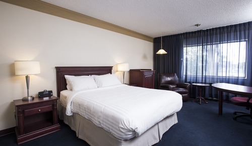 Zimmer, 1 Queen-Bett (Queen)