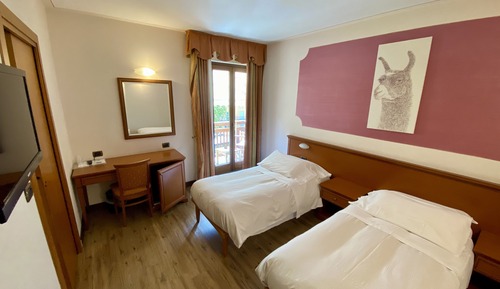 Standard-Zweibettzimmer, 2 Einzelbetten, Bergblick