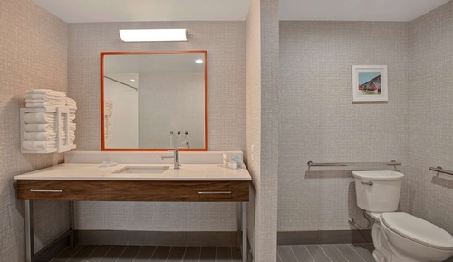 Zimmer, 1 King-Bett, barrierefrei (Mobility & Hearing, Roll-in Shower)