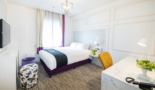 Deluxe-Einzelzimmer (for single use)