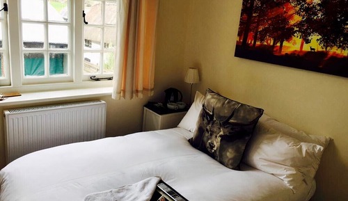 Basic-Zimmer, Gartenblick