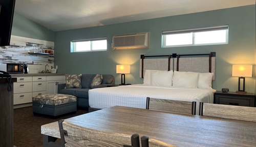 Junior-Studiosuite (Pet Friendly)