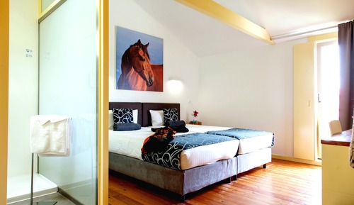 Classic-Doppel- oder -Zweibettzimmer