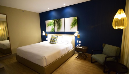 Superior 1 King Bed Ocean View